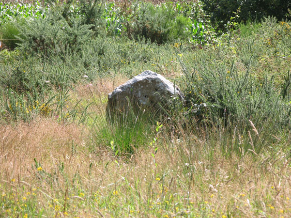 Menhirs de K&eacute;riaval